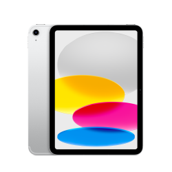 Apple 10.9-inch iPad Wi-Fi + Cellular 256GB - Silver