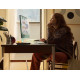 24-inch iMac with Retina 4.5K display: Apple M3 chip with 8‑core CPU and 10‑core GPU, 256GB SSD - Green