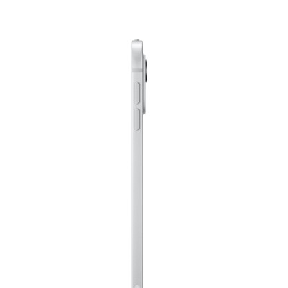 11-inch iPad Pro WiFi + Cellular 1TB with Standard glass - Silver