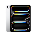 iPad Pro